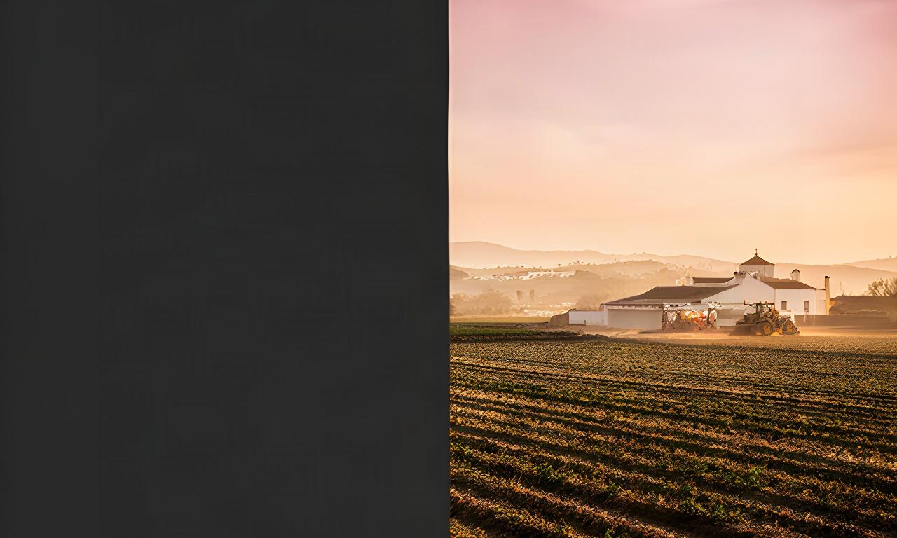 Campo de cultivo de Andalucía junto a una explotación agrícola al atardecer